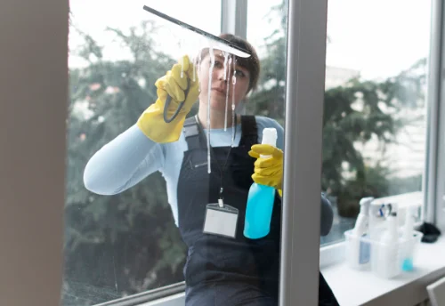 Nettoyage de vitres intérieures et extérieures à Moisson